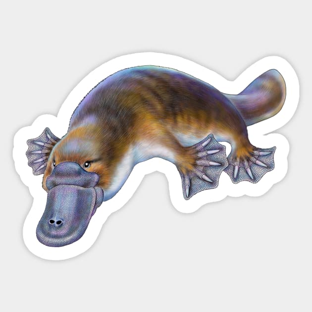 Platypus Sticker by Tim Jeffs Art